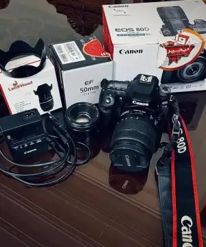 stock