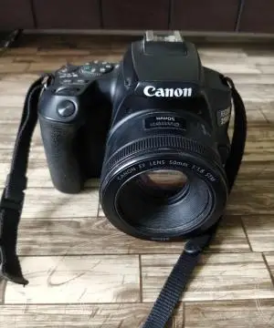 stock