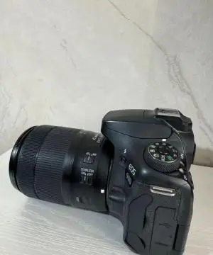 stock