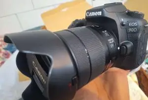 stock