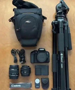 stock