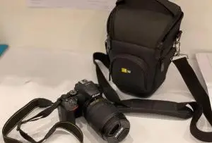 stock