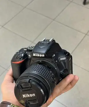 stock