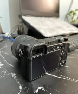 stock