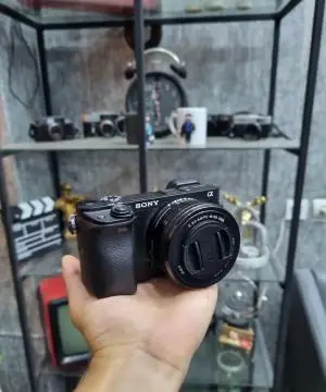 stock