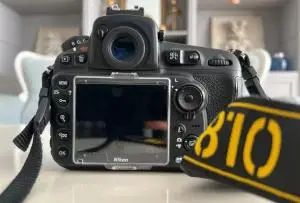 stock