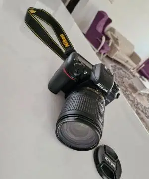 stock