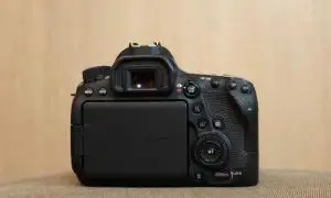 stock