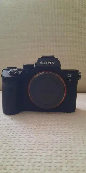 stock