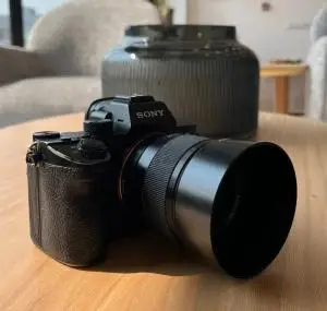 stock
