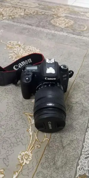 stock