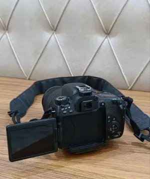 stock