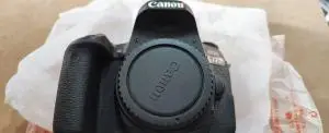stock