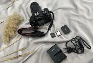 stock
