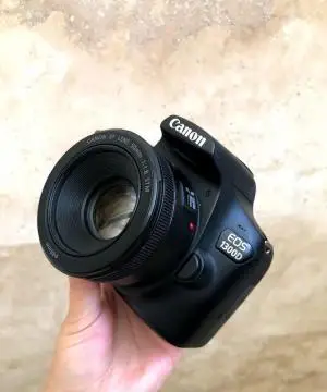 stock