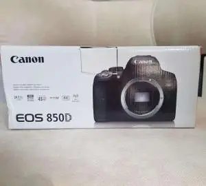 stock