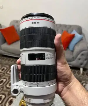 stock