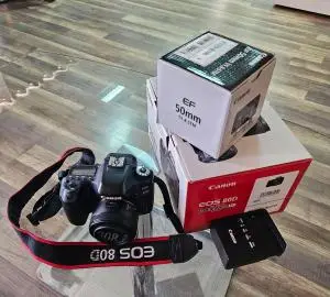 stock