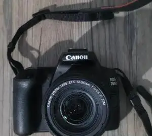 stock