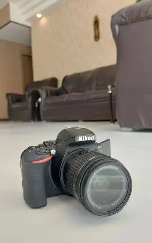 stock