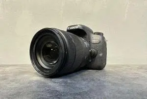 stock