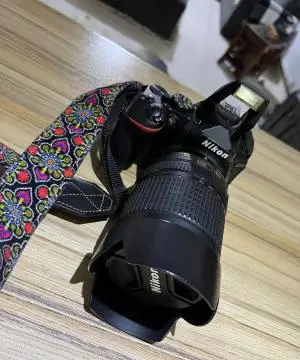 stock