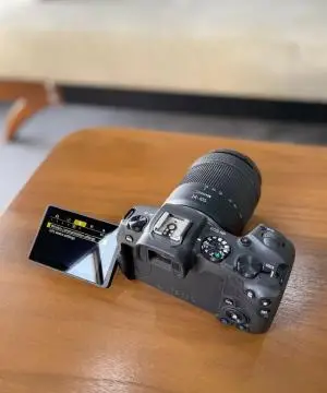 stock