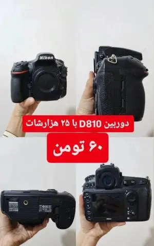 stock