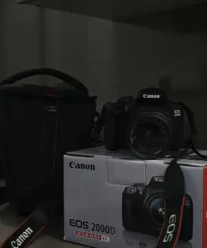 stock