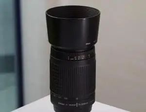stock