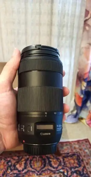 stock
