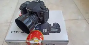 stock