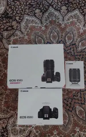 stock