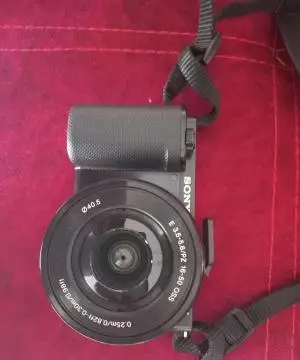 stock