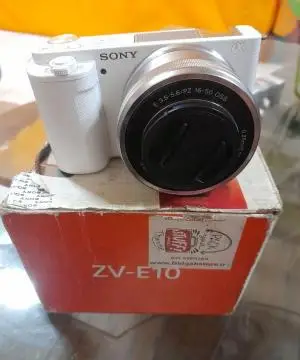 stock