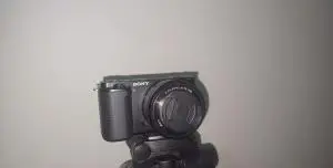 stock