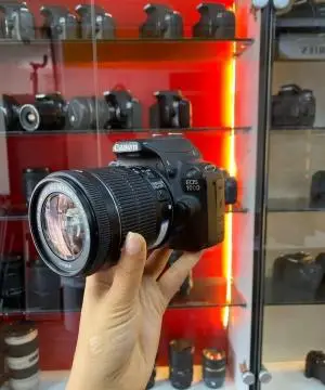 stock