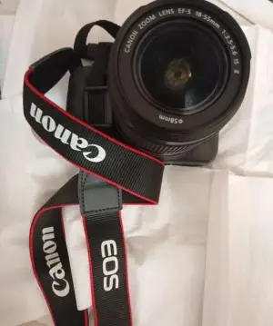 stock