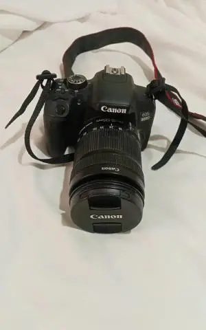 stock
