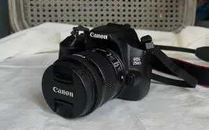 stock