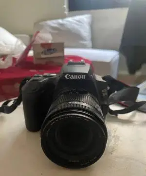 stock