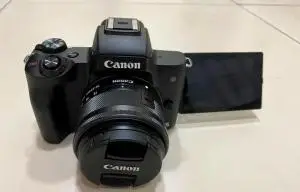 stock