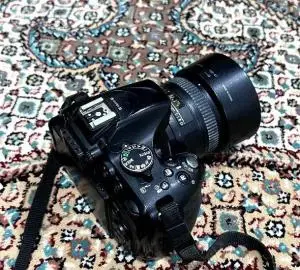 stock