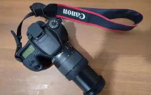 stock