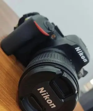 stock