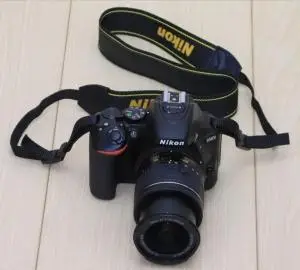 stock