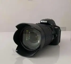 stock