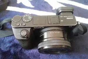stock