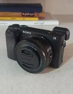 stock