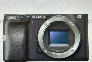 stock